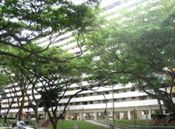 Blk 503 Bedok North Street 3 (Bedok), HDB 3 Rooms #455482551